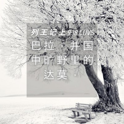 Picture 04 - 列 王 记 上 9:18 CUVS - 巴 拉 ， 并 国 中 旷 野 里 的 达 莫 - Bible Verse Picture