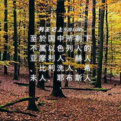 Picture 04 - 列 王 记 上 9:20 CUVS - 至 於 国 中 所 剩 下 不 属 以 色 列 - Bible Verse Picture