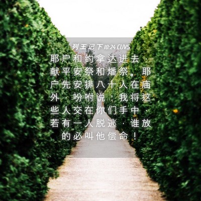 Picture 04 - 列 王 记 下 10:24 CUVS - 耶 户 和 约 拿 达 进 去 ， 献 平 安 - Bible Verse Picture