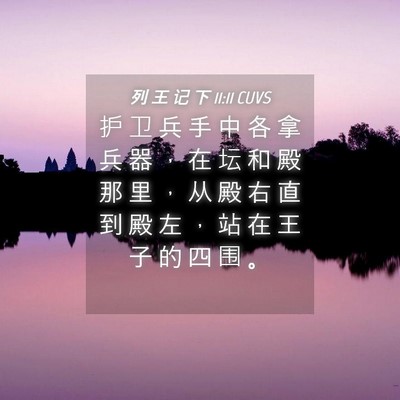 Picture 04 - 列 王 记 下 11:11 CUVS - 护 卫 兵 手 中 各 拿 兵 器 ， 在 坛 - Bible Verse Picture