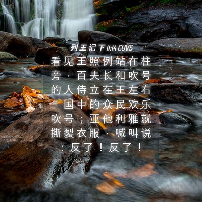 Picture 04 - 列 王 记 下 11:14 CUVS - 看 见 王 照 例 站 在 柱 旁 ， 百 夫 - Bible Verse Picture