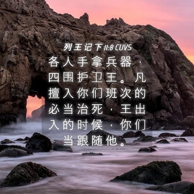 Picture 04 - 列 王 记 下 11:8 CUVS - 各 人 手 拿 兵 器 ， 四 围 护 卫 王 - Bible Verse Picture