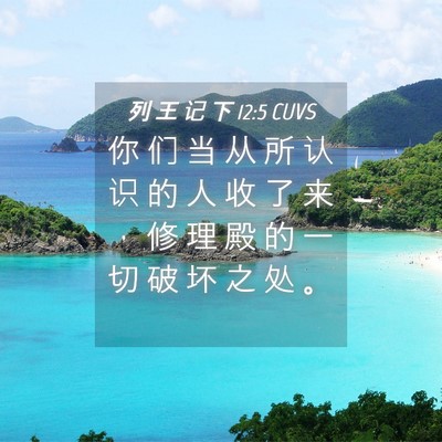 Picture 04 - 列 王 记 下 12:5 CUVS - 你 们 当 从 所 认 识 的 人 收 了 来 - Bible Verse Picture