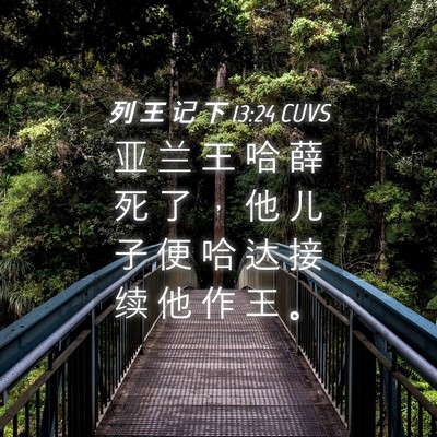 Picture 04 - 列 王 记 下 13:24 CUVS - 亚 兰 王 哈 薛 死 了 ， 他 儿 子 便 - Bible Verse Picture