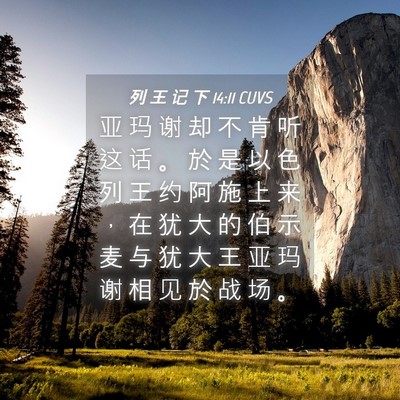 Picture 04 - 列 王 记 下 14:11 CUVS - 亚 玛 谢 却 不 肯 听 这 话 。 於 是 - Bible Verse Picture