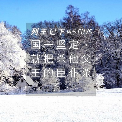 Picture 04 - 列 王 记 下 14:5 CUVS - 国 一 坚 定 ， 就 把 杀 他 父 王 的 - Bible Verse Picture