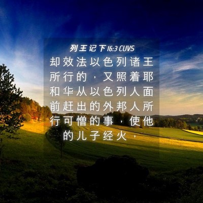 Picture 04 - 列 王 记 下 16:3 CUVS - 却 效 法 以 色 列 诸 王 所 行 的 ， - Bible Verse Picture