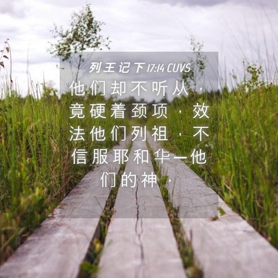 Picture 04 - 列 王 记 下 17:14 CUVS - 他 们 却 不 听 从 ， 竟 硬 着 颈 项 - Bible Verse Picture