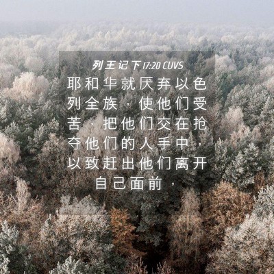 Picture 04 - 列 王 记 下 17:20 CUVS - 耶 和 华 就 厌 弃 以 色 列 全 族 ， - Bible Verse Picture