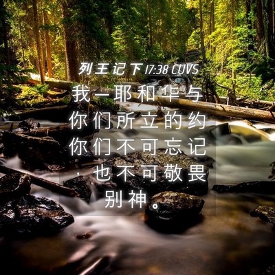 Picture 04 - 列 王 记 下 17:38 CUVS - 我 ─ 耶 和 华 与 你 们 所 立 的 约 - Bible Verse Picture