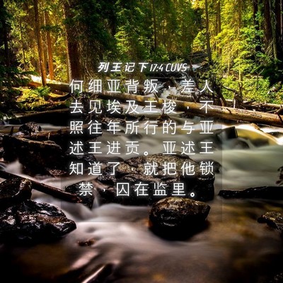 Picture 04 - 列 王 记 下 17:4 CUVS - 何 细 亚 背 叛 ， 差 人 去 见 埃 及 - Bible Verse Picture
