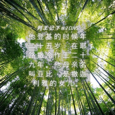 Picture 04 - 列 王 记 下 18:2 CUVS - 他 登 基 的 时 候 年 二 十 五 岁 ， - Bible Verse Picture