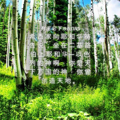 Picture 04 - 列 王 记 下 19:15 CUVS - 希 西 家 向 耶 和 华 祷 告 说 ： 坐 - Bible Verse Picture