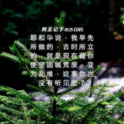 Picture 04 - 列 王 记 下 19:25 CUVS - 耶 和 华 说 ， 我 早 先 所 做 的 ， - Bible Verse Picture
