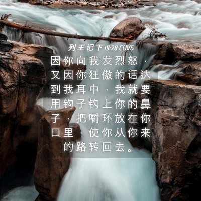 Picture 04 - 列 王 记 下 19:28 CUVS - 因 你 向 我 发 烈 怒 ， 又 因 你 狂 - Bible Verse Picture