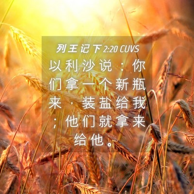 Picture 04 - 列 王 记 下 2:20 CUVS - 以 利 沙 说 ： 你 们 拿 一 个 新 瓶 - Bible Verse Picture