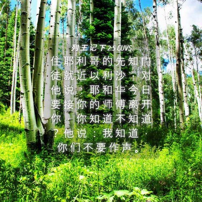Picture 04 - 列 王 记 下 2:5 CUVS - 住 耶 利 哥 的 先 知 门 徒 就 近 以 - Bible Verse Picture