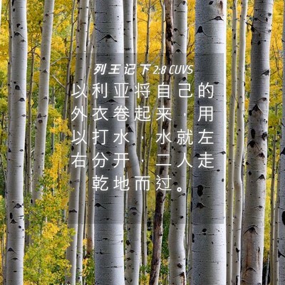 Picture 04 - 列 王 记 下 2:8 CUVS - 以 利 亚 将 自 己 的 外 衣 卷 起 来 - Bible Verse Picture