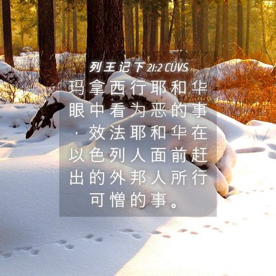 Picture 04 - 列 王 记 下 21:2 CUVS - 玛 拿 西 行 耶 和 华 眼 中 看 为 恶 - Bible Verse Picture