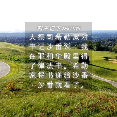 Picture 04 - 列 王 记 下 22:8 CUVS - 大 祭 司 希 勒 家 对 书 记 沙 番 说 - Bible Verse Picture
