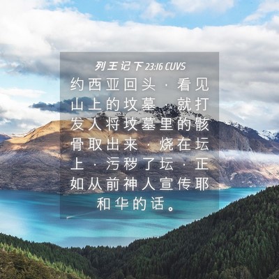 Picture 04 - 列 王 记 下 23:16 CUVS - 约 西 亚 回 头 ， 看 见 山 上 的 坟 - Bible Verse Picture
