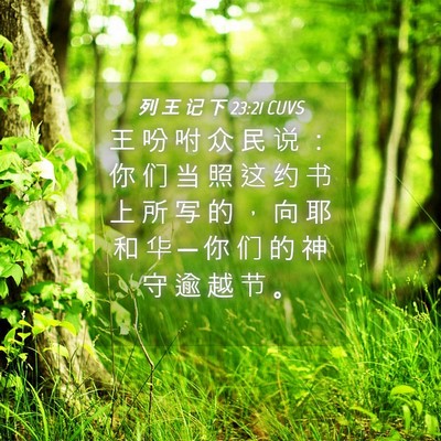 Picture 04 - 列 王 记 下 23:21 CUVS - 王 吩 咐 众 民 说 ： 你 们 当 照 这 - Bible Verse Picture