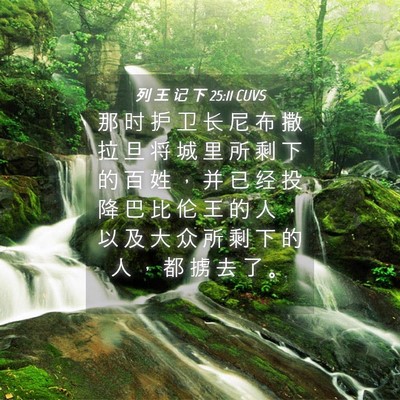 Picture 04 - 列 王 记 下 25:11 CUVS - 那 时 护 卫 长 尼 布 撒 拉 旦 将 城 - Bible Verse Picture