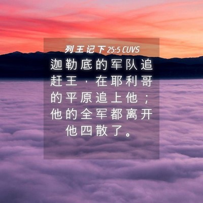 Picture 04 - 列 王 记 下 25:5 CUVS - 迦 勒 底 的 军 队 追 赶 王 ， 在 耶 - Bible Verse Picture