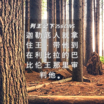 Picture 04 - 列 王 记 下 25:6 CUVS - 迦 勒 底 人 就 拿 住 王 ， 带 他 到 - Bible Verse Picture