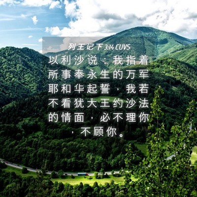 Picture 04 - 列 王 记 下 3:14 CUVS - 以 利 沙 说 ： 我 指 着 所 事 奉 永 - Bible Verse Picture