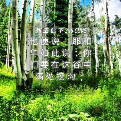 Picture 04 - 列 王 记 下 3:16 CUVS - 他 便 说 ： 耶 和 华 如 此 说 ： 你 - Bible Verse Picture
