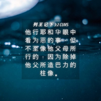 Picture 04 - 列 王 记 下 3:2 CUVS - 他 行 耶 和 华 眼 中 看 为 恶 的 事 - Bible Verse Picture