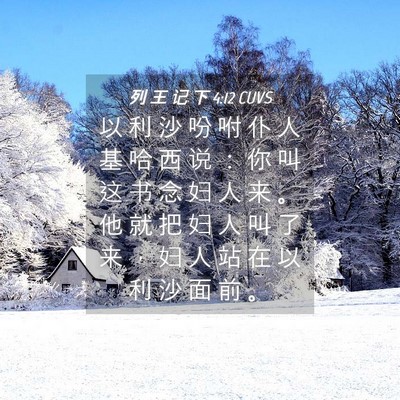 Picture 04 - 列 王 记 下 4:12 CUVS - 以 利 沙 吩 咐 仆 人 基 哈 西 说 ： - Bible Verse Picture