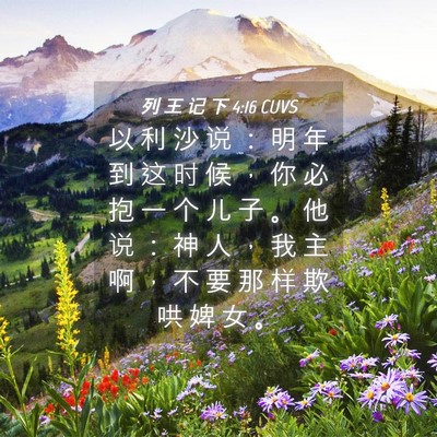 Picture 04 - 列 王 记 下 4:16 CUVS - 以 利 沙 说 ： 明 年 到 这 时 候 ， - Bible Verse Picture
