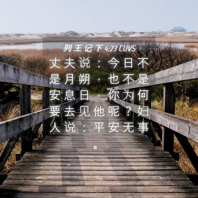 Picture 04 - 列 王 记 下 4:23 CUVS - 丈 夫 说 ： 今 日 不 是 月 朔 ， 也 - Bible Verse Picture