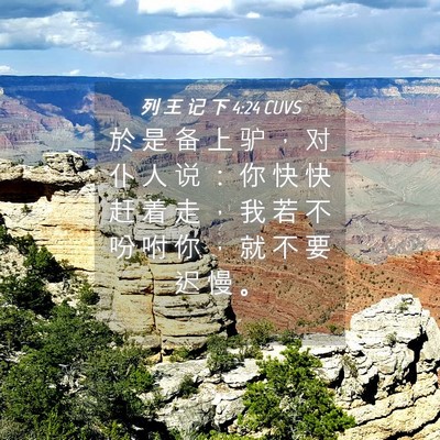Picture 04 - 列 王 记 下 4:24 CUVS - 於 是 备 上 驴 ， 对 仆 人 说 ： 你 - Bible Verse Picture