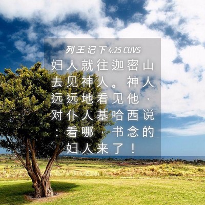 Picture 04 - 列 王 记 下 4:25 CUVS - 妇 人 就 往 迦 密 山 去 见 神 人 。 - Bible Verse Picture