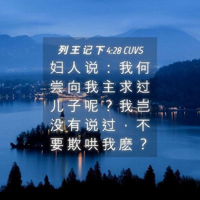 Picture 04 - 列 王 记 下 4:28 CUVS - 妇 人 说 ： 我 何 尝 向 我 主 求 过 - Bible Verse Picture