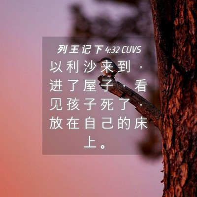 Picture 04 - 列 王 记 下 4:32 CUVS - 以 利 沙 来 到 ， 进 了 屋 子 ， 看 - Bible Verse Picture