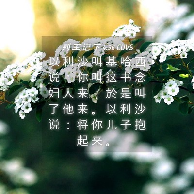 Picture 04 - 列 王 记 下 4:36 CUVS - 以 利 沙 叫 基 哈 西 说 ： 你 叫 这 - Bible Verse Picture