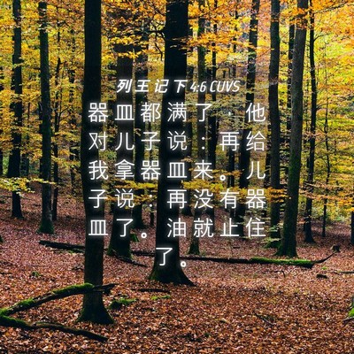 Picture 04 - 列 王 记 下 4:6 CUVS - 器 皿 都 满 了 ， 他 对 儿 子 说 ： - Bible Verse Picture