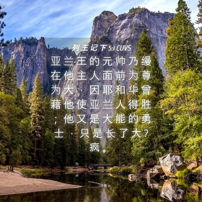 Picture 04 - 列 王 记 下 5:1 CUVS - 亚 兰 王 的 元 帅 乃 缦 在 他 主 人 - Bible Verse Picture