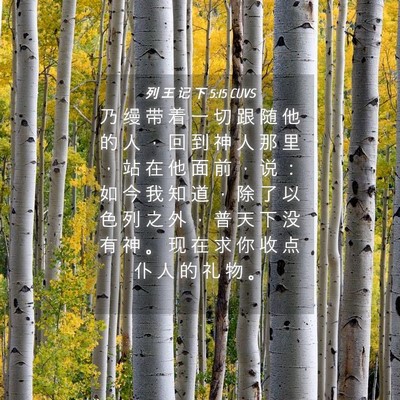 Picture 04 - 列 王 记 下 5:15 CUVS - 乃 缦 带 着 一 切 跟 随 他 的 人 ， - Bible Verse Picture