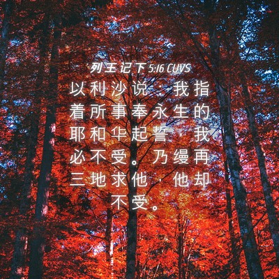 Picture 04 - 列 王 记 下 5:16 CUVS - 以 利 沙 说 ： 我 指 着 所 事 奉 永 - Bible Verse Picture