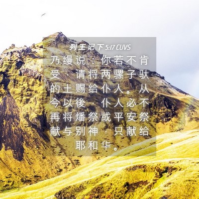 Picture 04 - 列 王 记 下 5:17 CUVS - 乃 缦 说 ： 你 若 不 肯 受 ， 请 将 - Bible Verse Picture