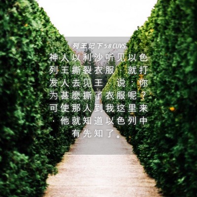Picture 04 - 列 王 记 下 5:8 CUVS - 神 人 以 利 沙 听 见 以 色 列 王 撕 - Bible Verse Picture