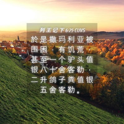 Picture 04 - 列 王 记 下 6:25 CUVS - 於 是 撒 玛 利 亚 被 围 困 ， 有 饥 - Bible Verse Picture
