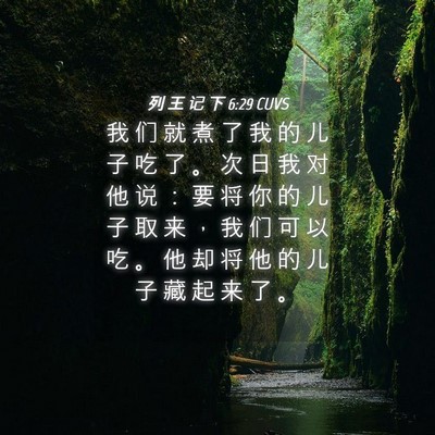 Picture 04 - 列 王 记 下 6:29 CUVS - 我 们 就 煮 了 我 的 儿 子 吃 了 。 - Bible Verse Picture