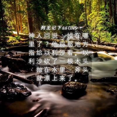 Picture 04 - 列 王 记 下 6:6 CUVS - 神 人 问 说 ： 掉 在 哪 里 了 ？ 他 - Bible Verse Picture