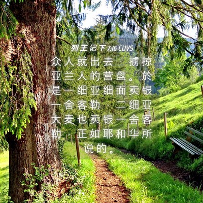 Picture 04 - 列 王 记 下 7:16 CUVS - 众 人 就 出 去 ， 掳 掠 亚 兰 人 的 - Bible Verse Picture